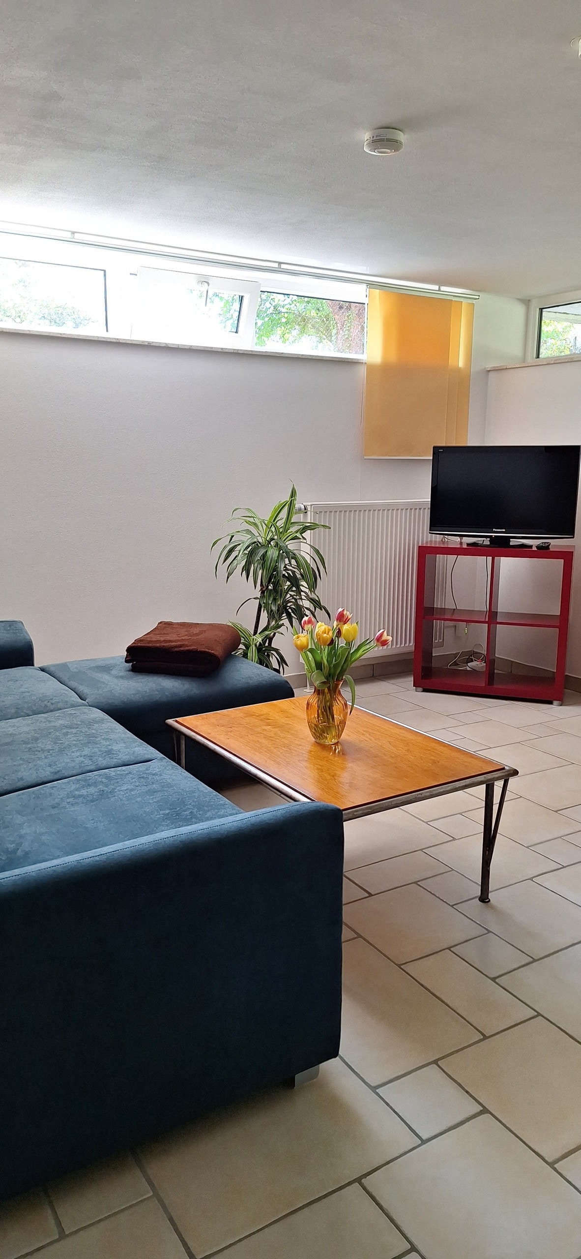 A spacious living area features a dark blue sofa and a wooden coffee table with a vase of fresh flowers. A potted plant adds greenery to the space, while a television is positioned on a red stand nearby. Natural light enters through large windows.