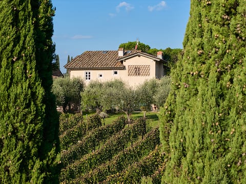 Villa Mareli surrounded by vineyards with pool-spa