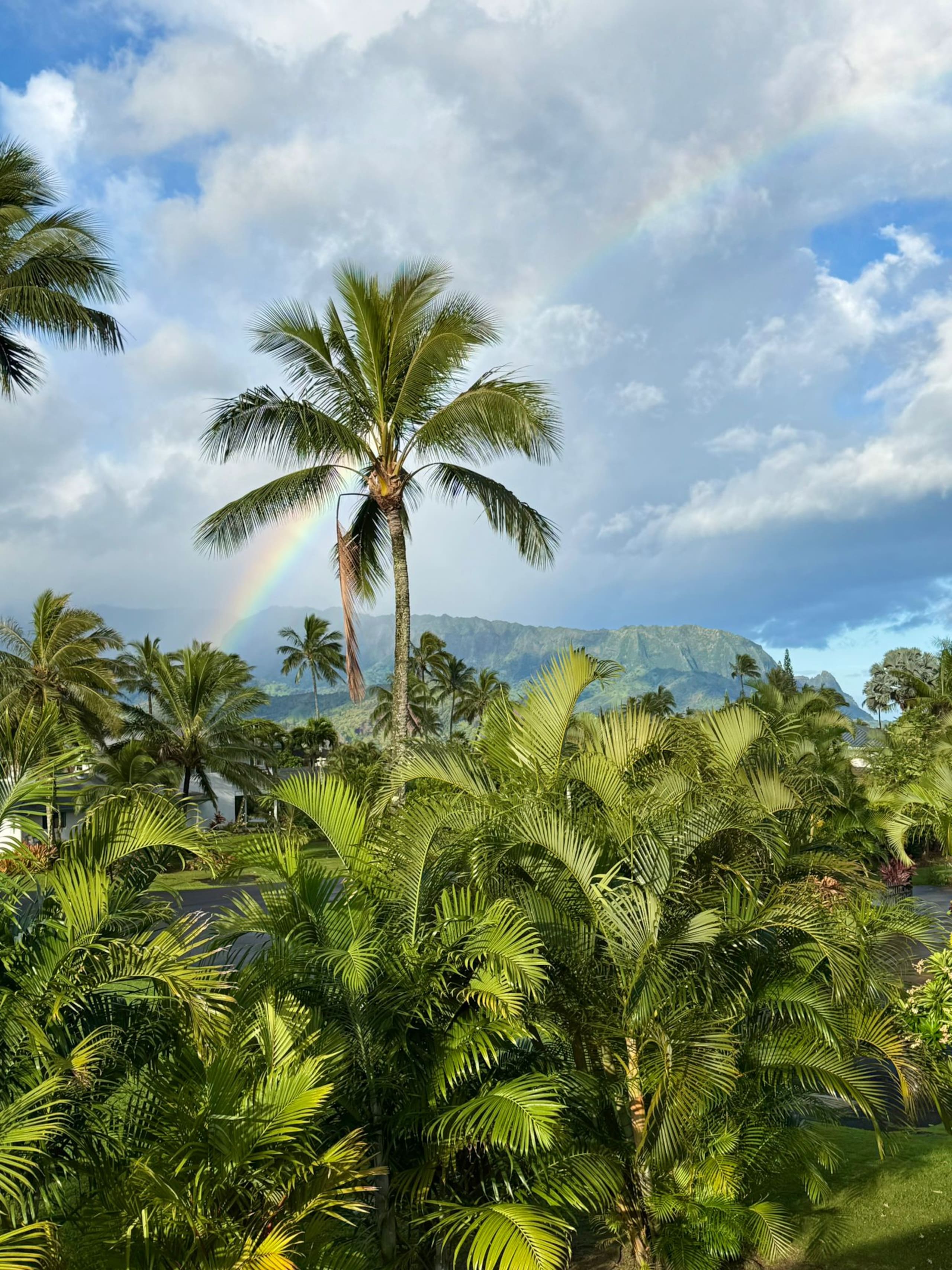 Home in Princeville · ★4.97 · 5 bedrooms · 5 beds · 5 baths - Image 78