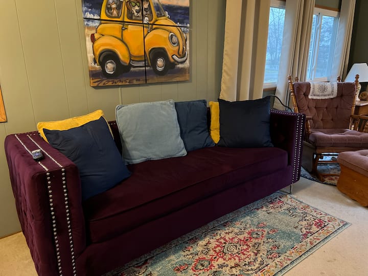 Lake View 5 Min Walk To Bemus, Bikes, Fire Pit! - Bemus Point, NY