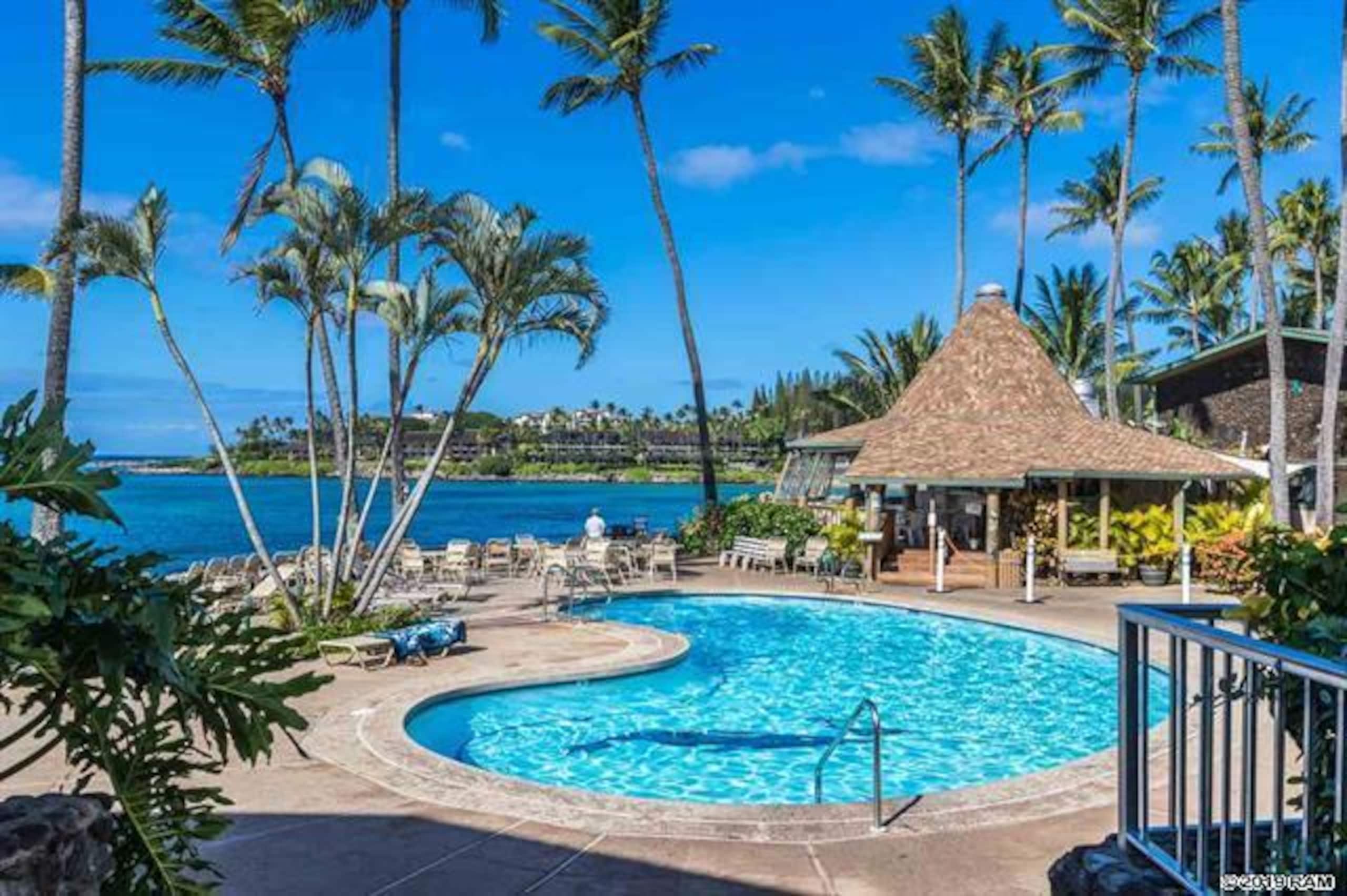 Garden View Second Floor Studio at Napili Shores – - Image 50