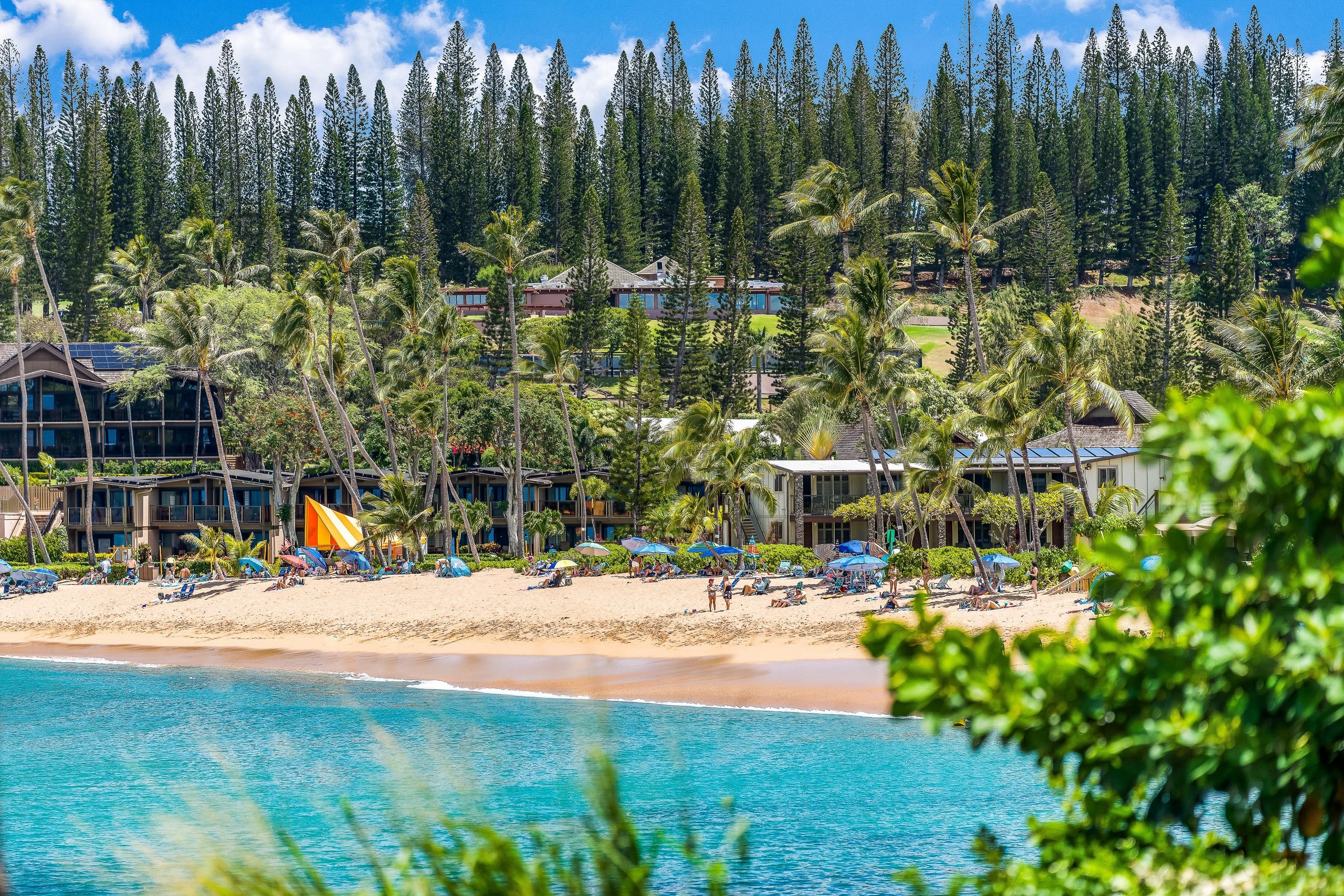 Garden View Second Floor Studio at Napili Shores – - Image 65