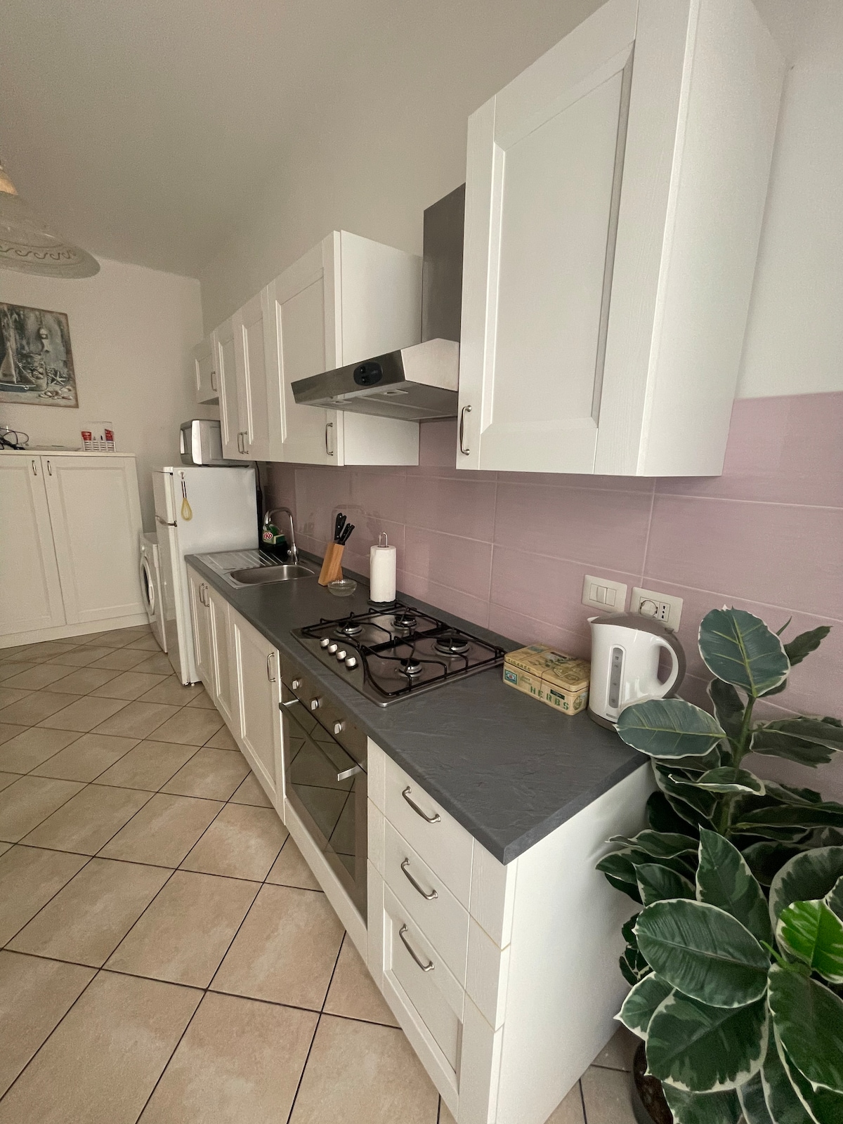 A modern kitchen features white cabinetry, gray countertops, and stainless steel appliances. A gas stove is positioned beneath an extractor hood. A leafy plant is placed in the corner, and practical items such as a kettle and various cooking utensils are arranged on the counter.