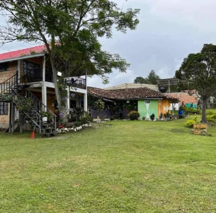 The Spring Farm - San Agustín