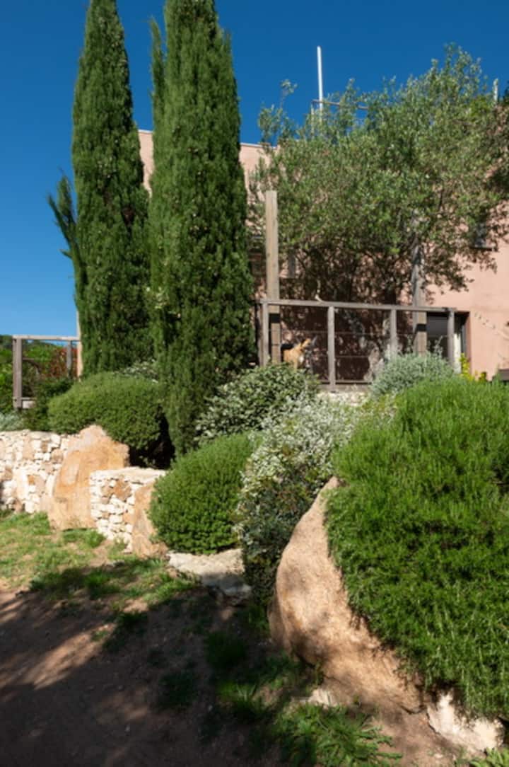 Appartement Stintinu - Tarra Zuria - Figari