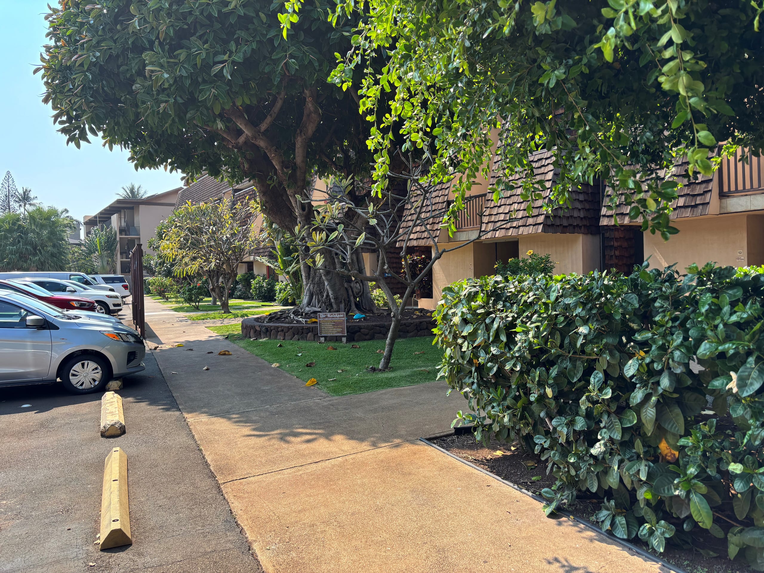 Condo in Lahaina · ★4.78 · 1 bedroom · 1 bed · 1 bath - Image 14