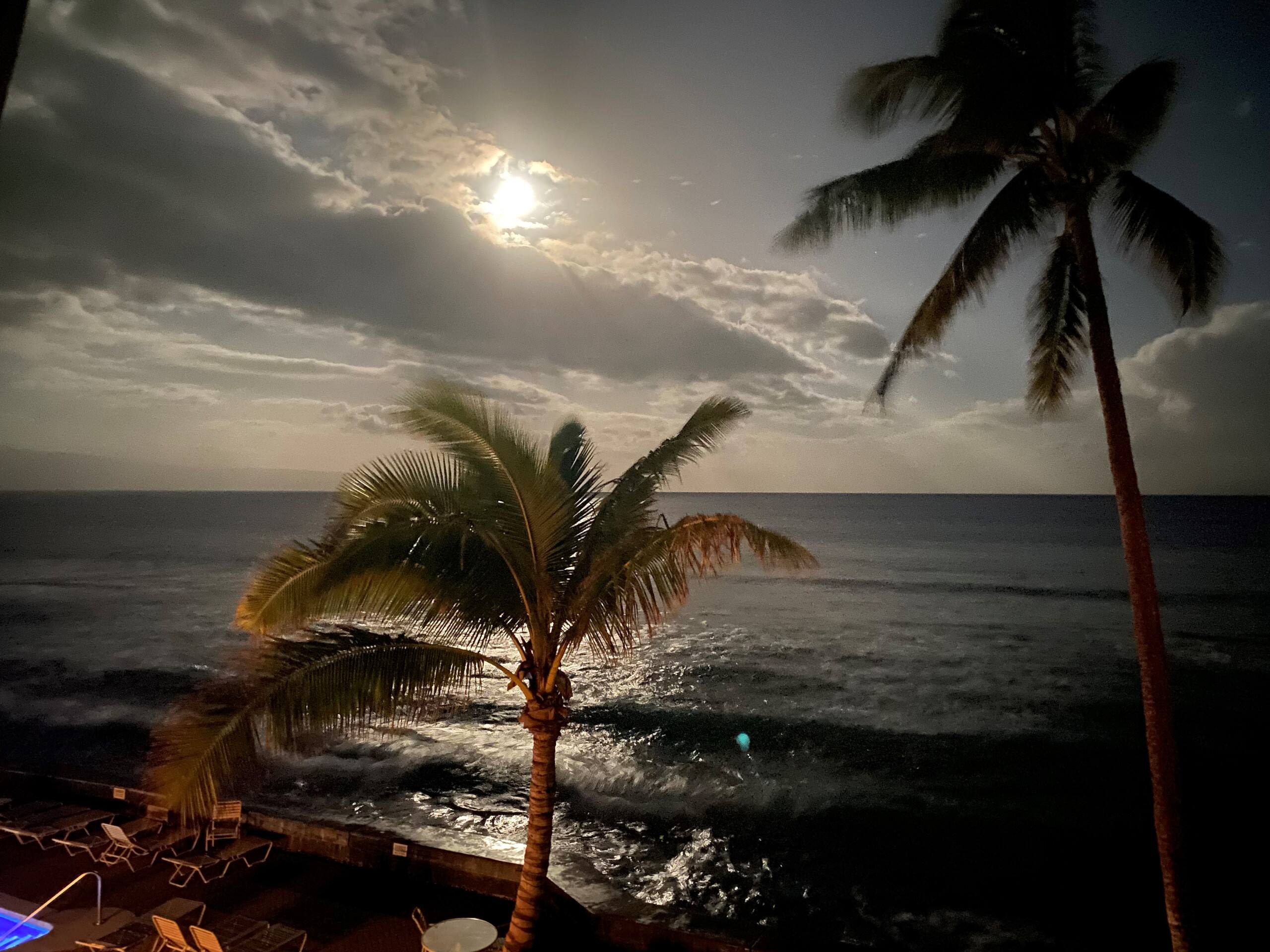 Condo in Lahaina · ★4.78 · 1 bedroom · 1 bed · 1 bath - Image 48