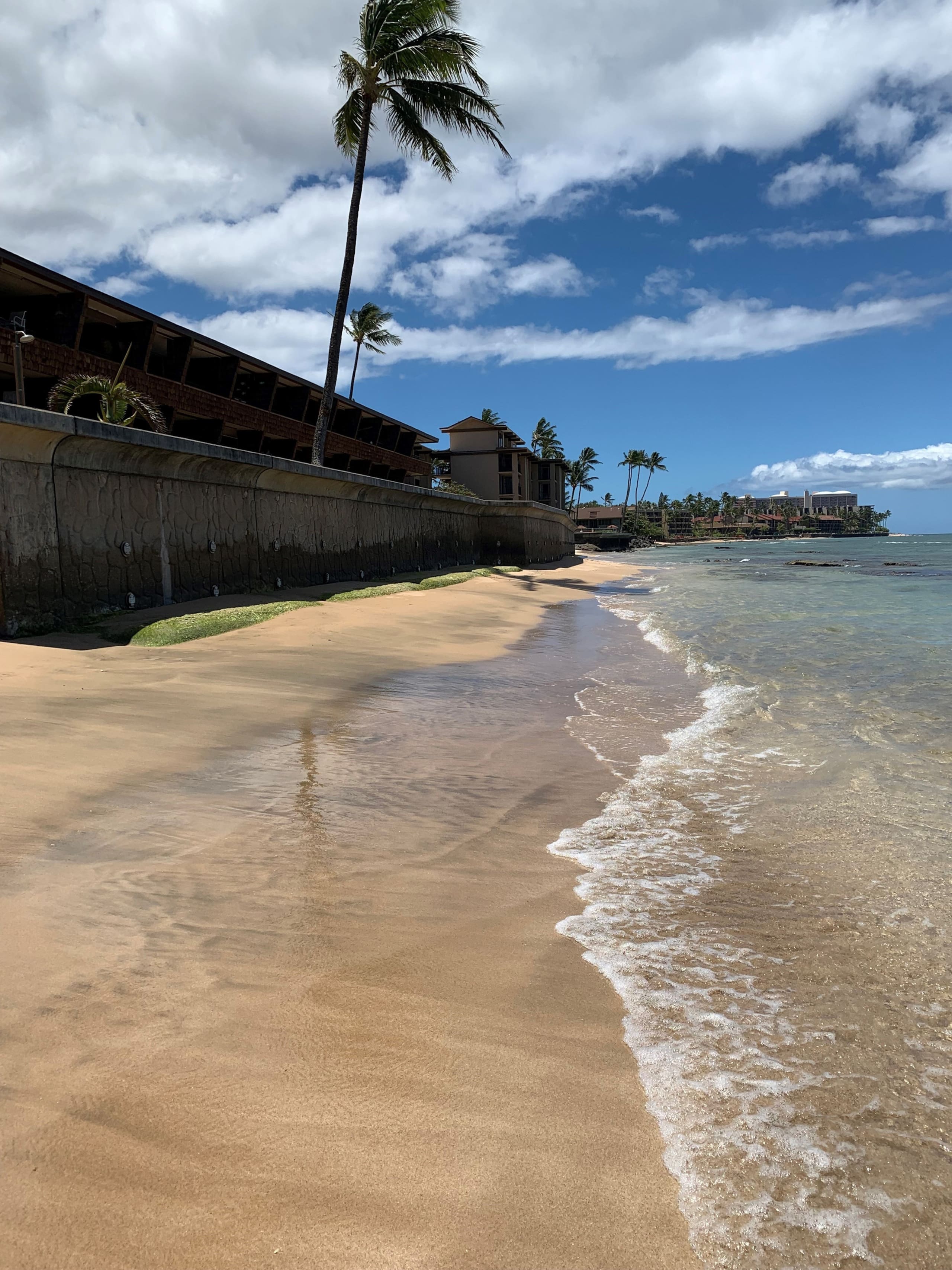 Condo in Lahaina · ★5.0 · 1 bedroom · 1 bed · 1 private bath - Image 27