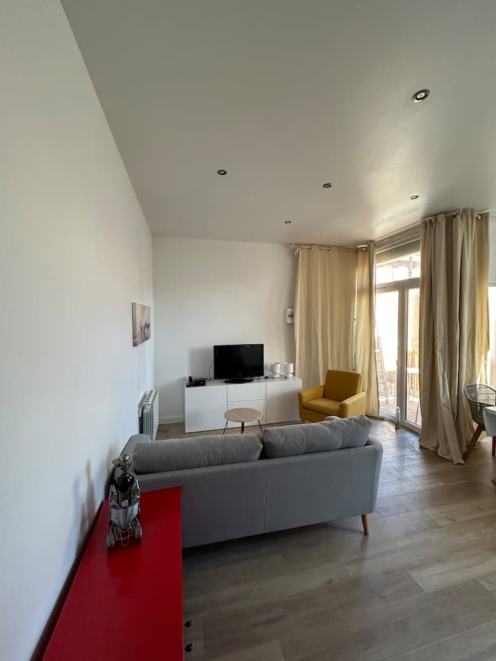 Appartement Rénové Plein Centre Calme Et Lumineux - Roanne