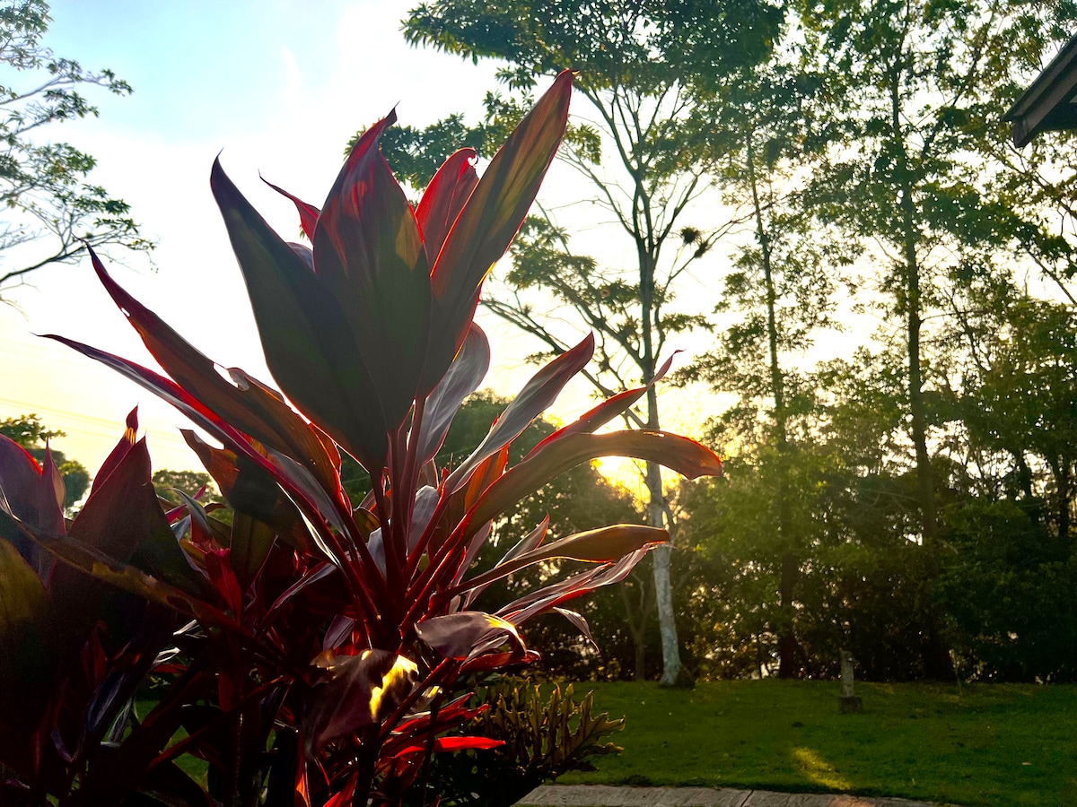 Quinta la Arboleda — photo 1