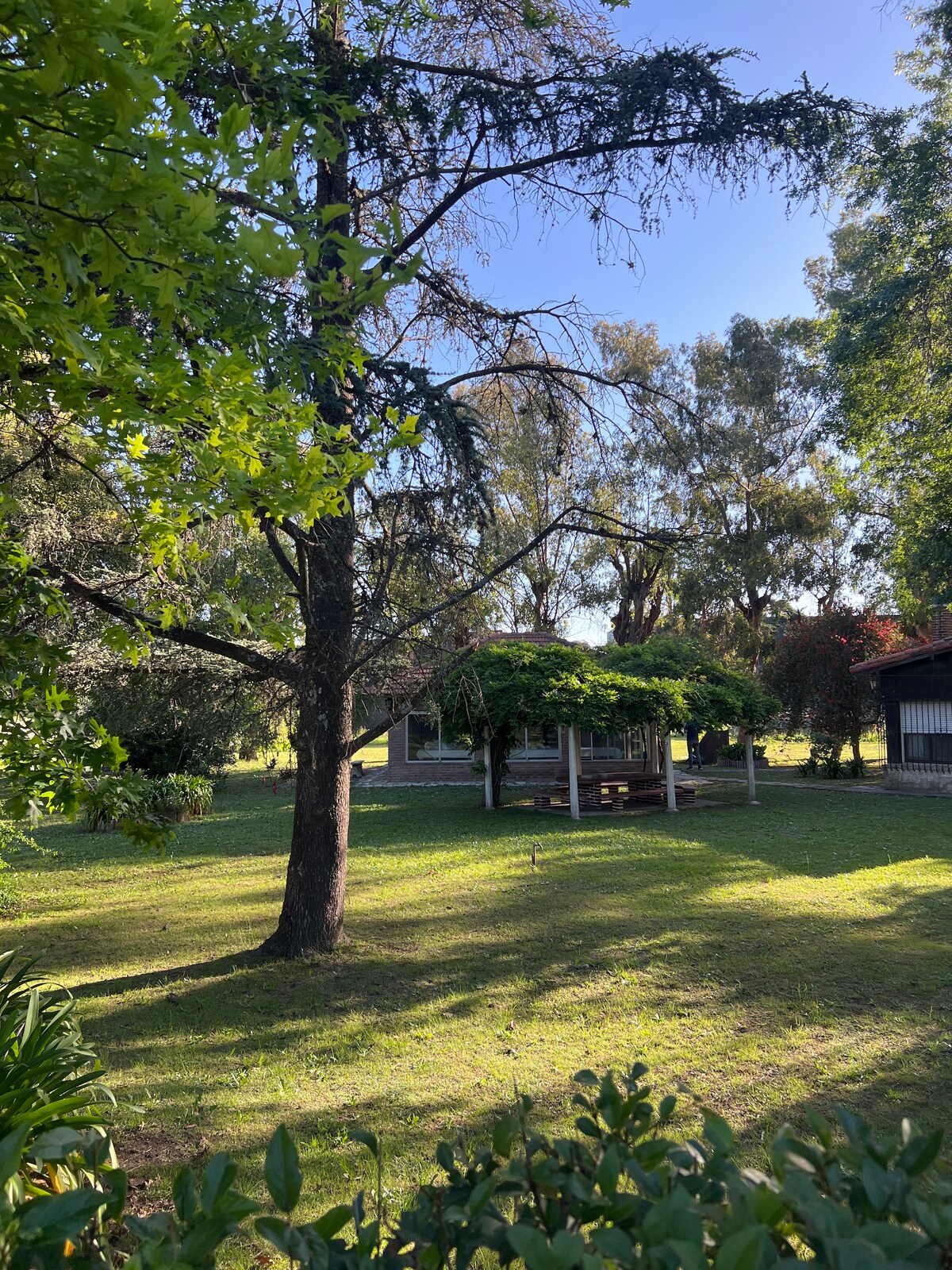 A spacious outdoor area features a well-kept lawn surrounded by trees. A covered patio with a wooden table is partially shaded by green foliage. A glimpse of the main house can be seen in the background, framed by lush vegetation.
