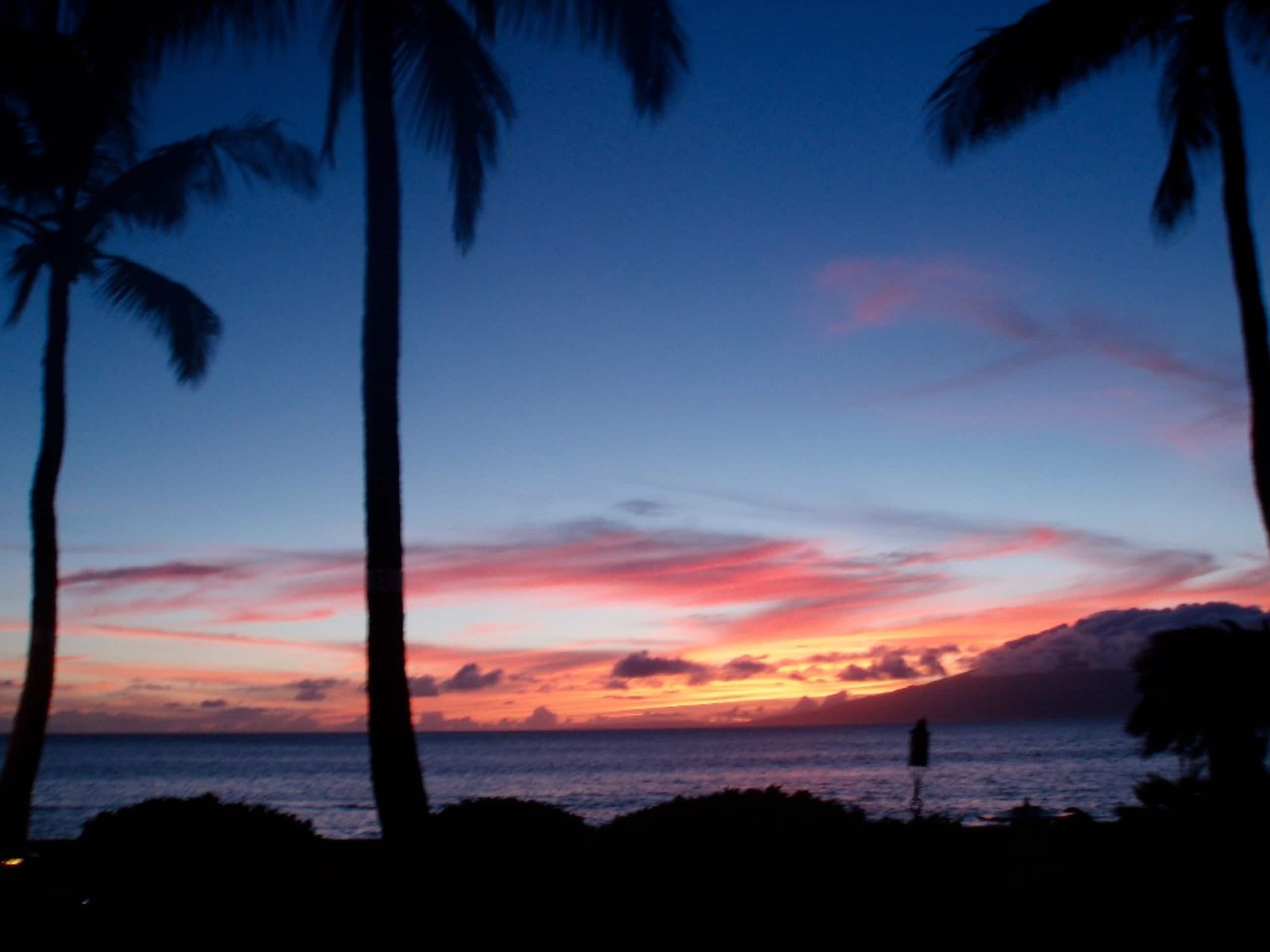 Condo in Lahaina · ★4.97 · 1 bedroom · 1 bed · 1 bath - Image 46