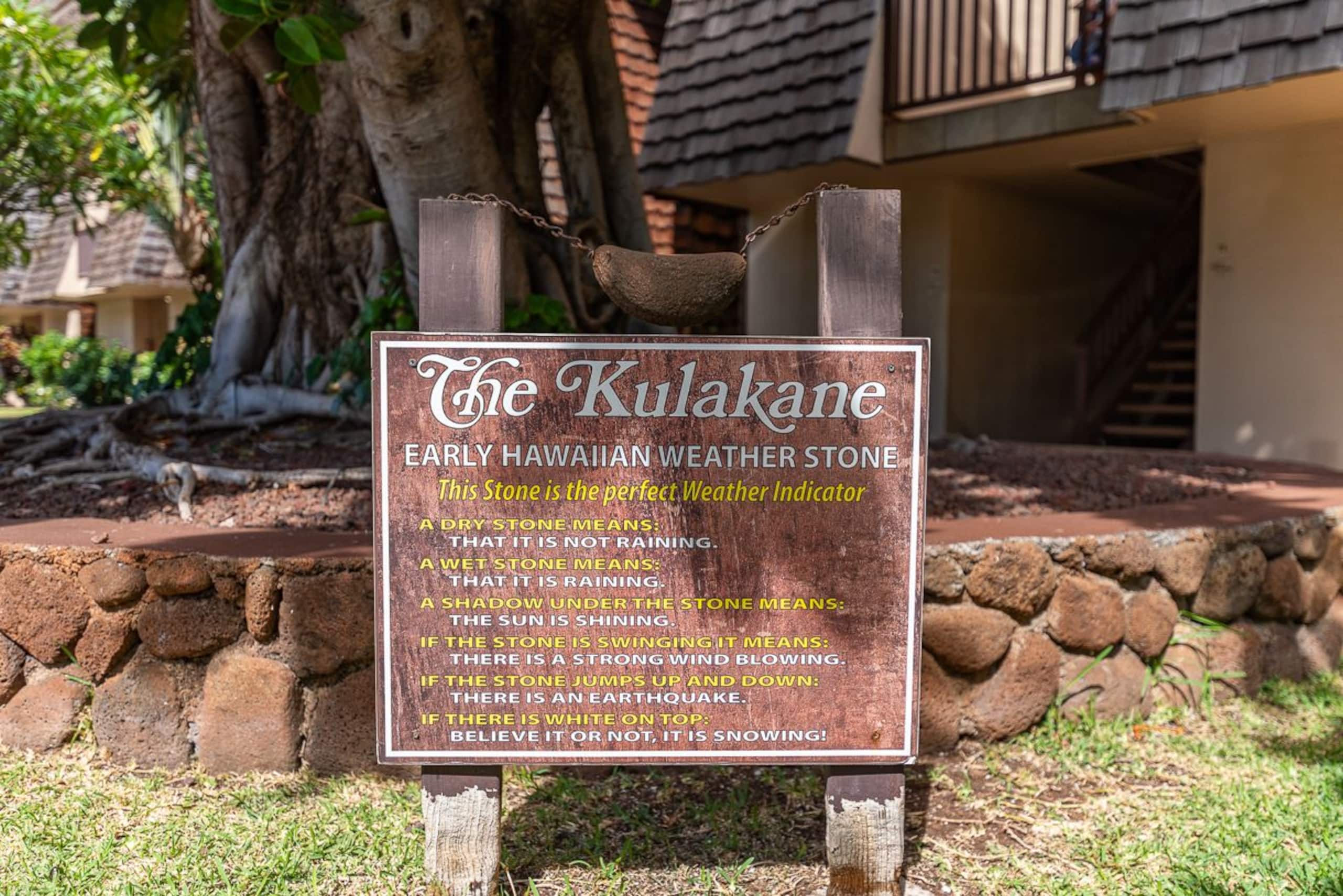 Condo in Lahaina · ★4.97 · 1 bedroom · 1 bed · 1 bath - Image 25