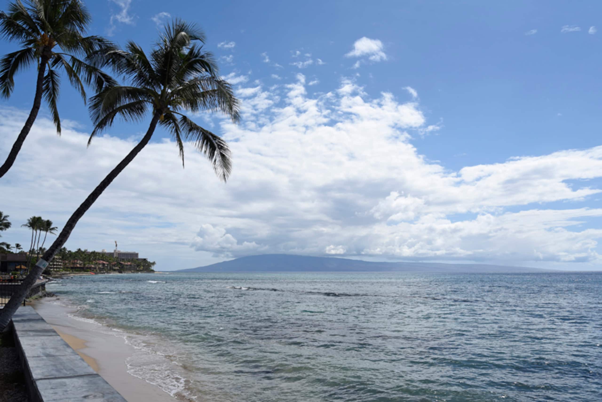 Condo in Lahaina · ★4.88 · 1 bedroom · 1 bed · 1 private bath - Image 30