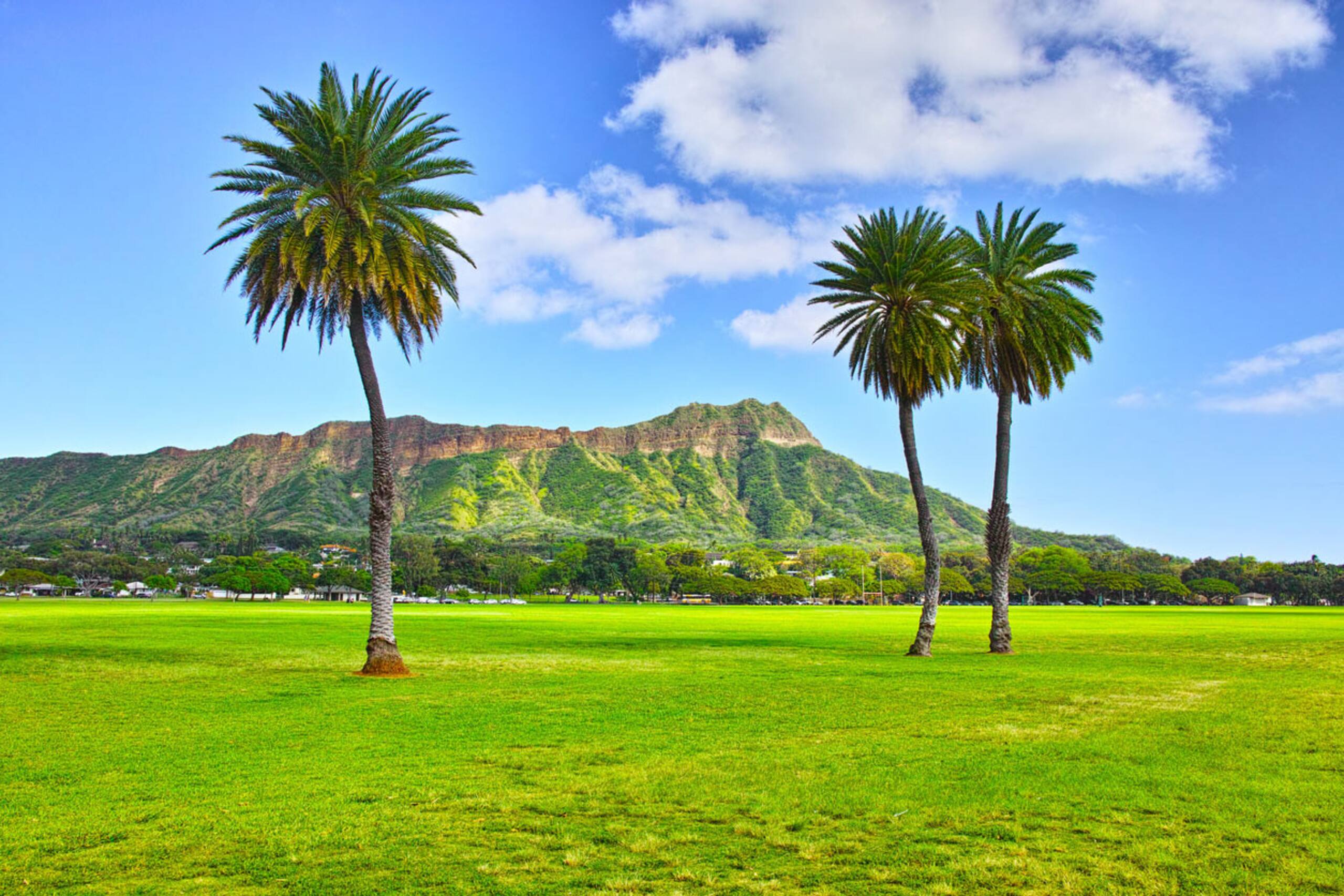 Hotel in Honolulu · ★4.5 · 1 bedroom · 1 private bath - Image 16