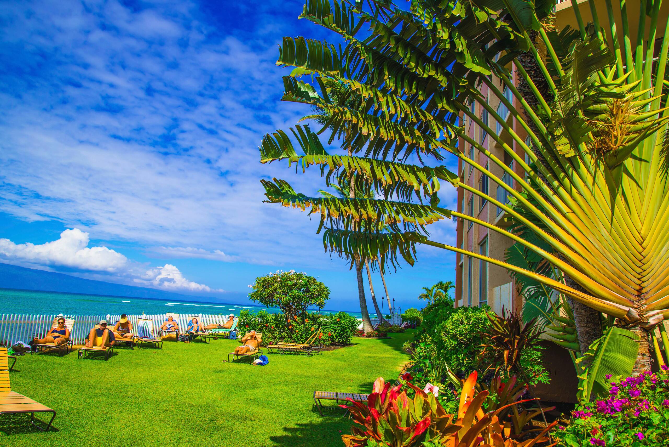 Condo in Lahaina · ★4.74 · 1 bedroom · 1 bed · 1 bath - Image 32