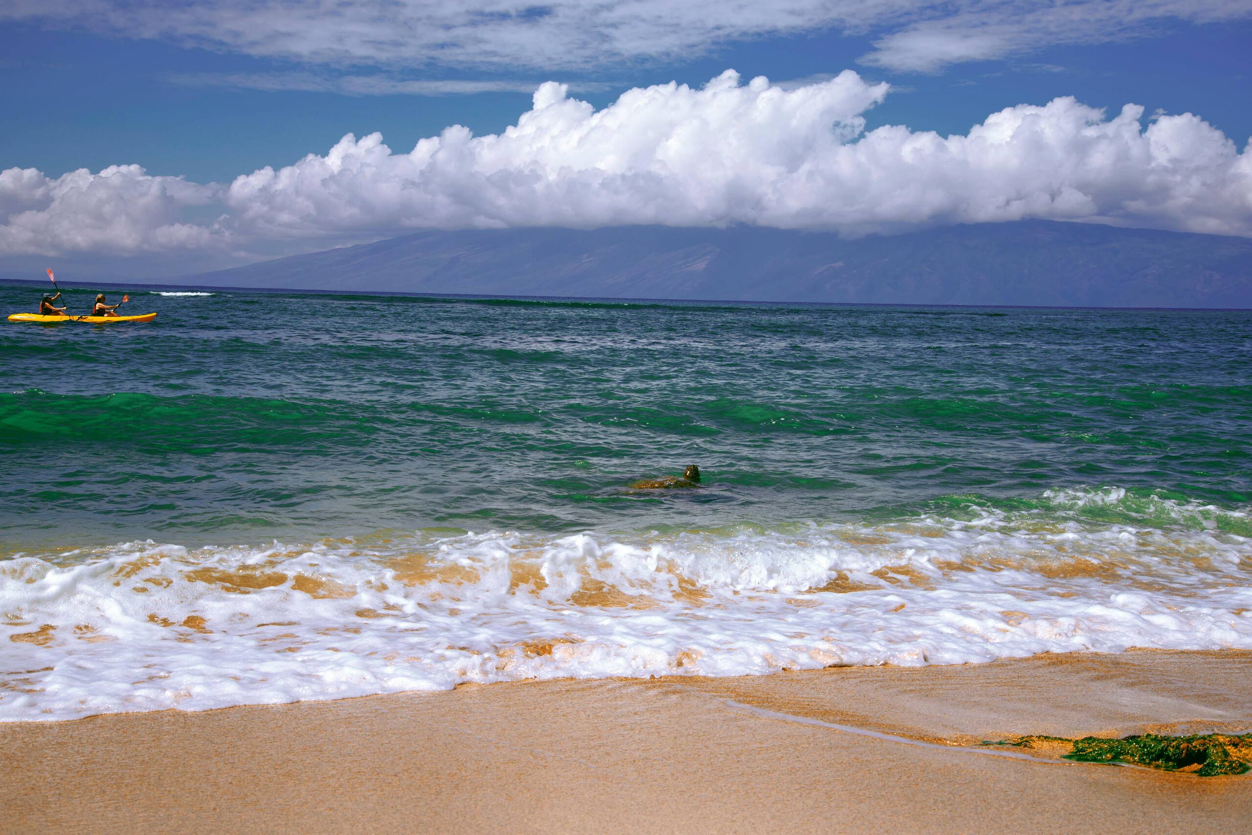 Condo in Lahaina · ★4.74 · 1 bedroom · 1 bed · 1 bath - Image 33