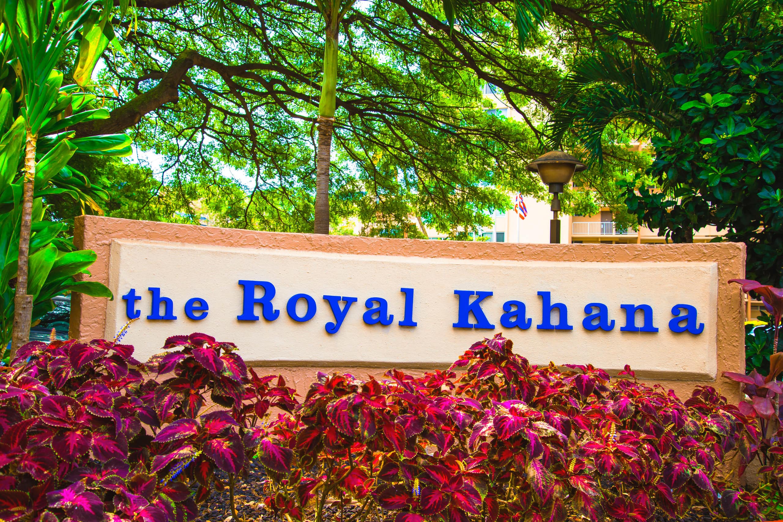 Condo in Lahaina · ★4.74 · 1 bedroom · 1 bed · 1 bath - Image 28