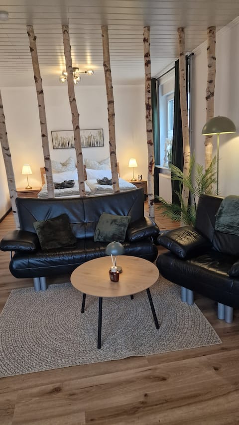 Top performing Airbnb: Studio "Ton Barkenboom" in Wittmund