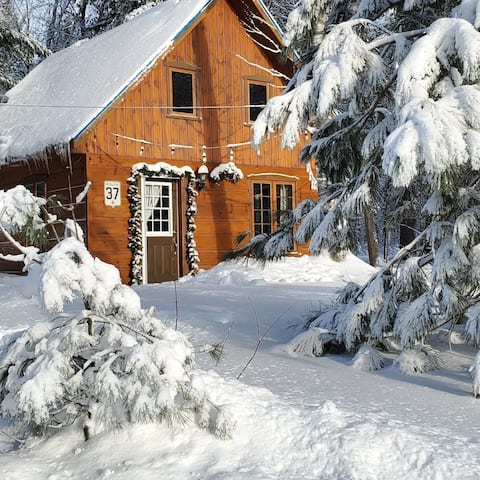 Cozy cottage in an exceptional environment
