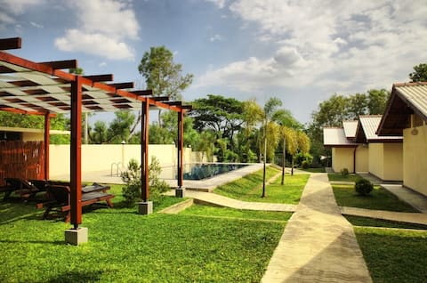 Jungle Paradise Hotel