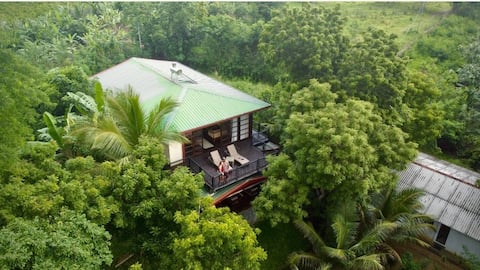 Jungle Paradise Hotel