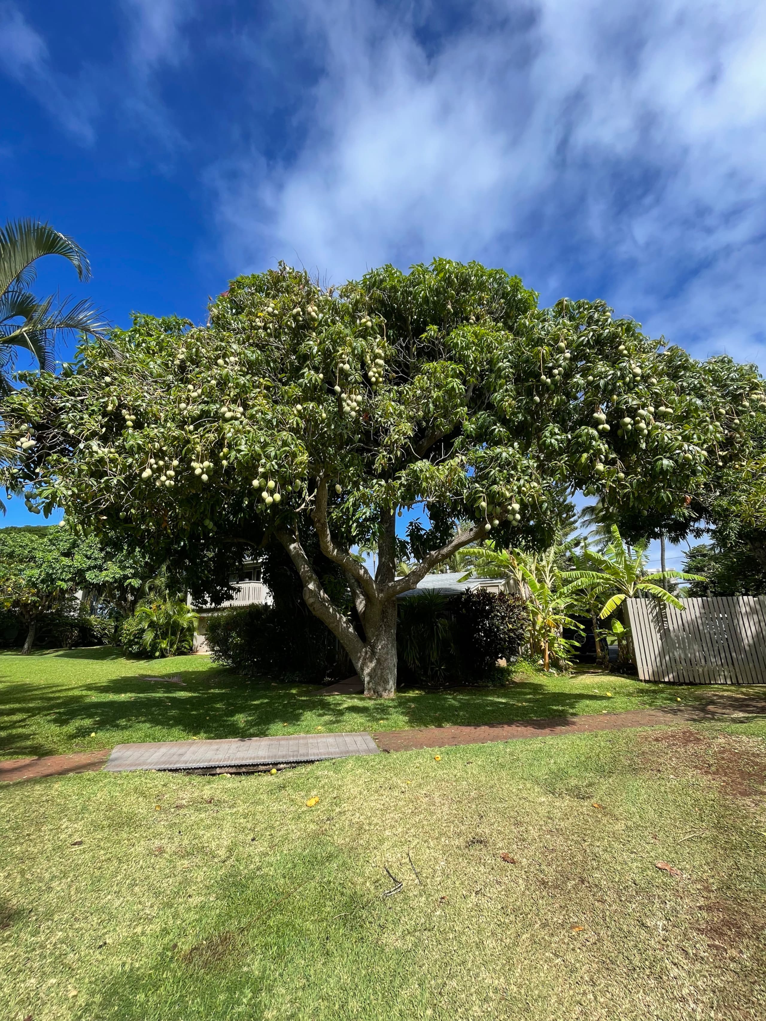 Peaceful Maui Bungalow | Ka Hale Aloha-Love Shack - Image 31