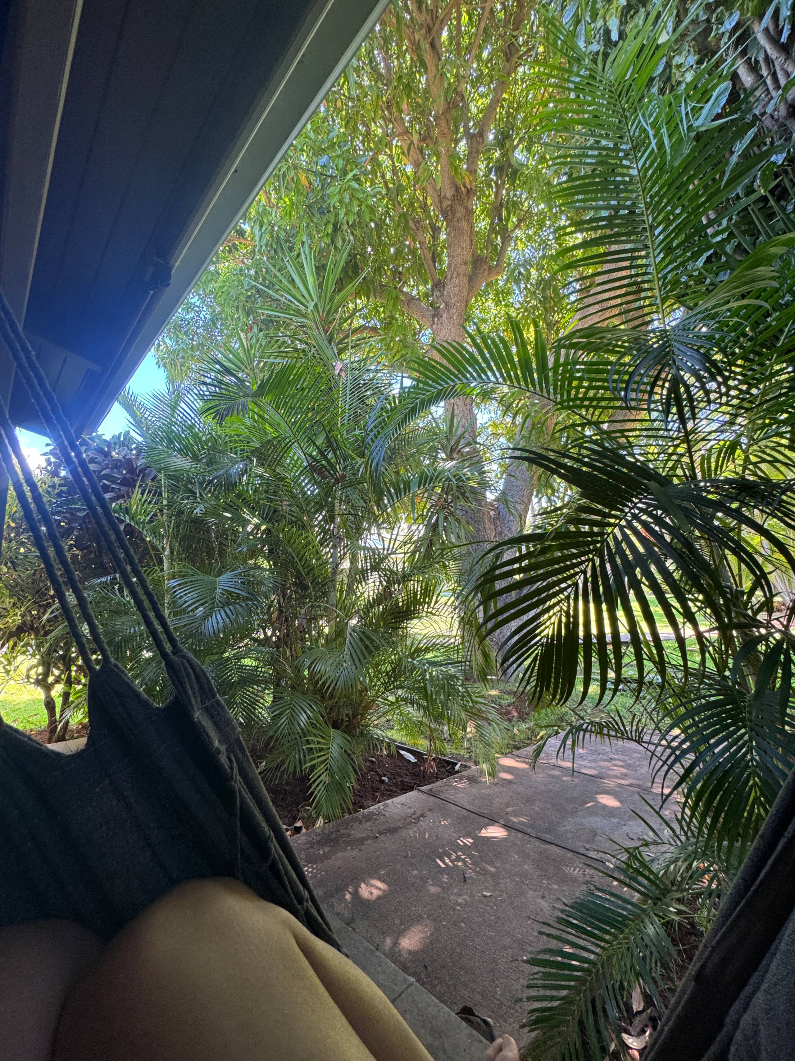 Peaceful Maui Bungalow | Ka Hale Aloha-Love Shack - Image 25