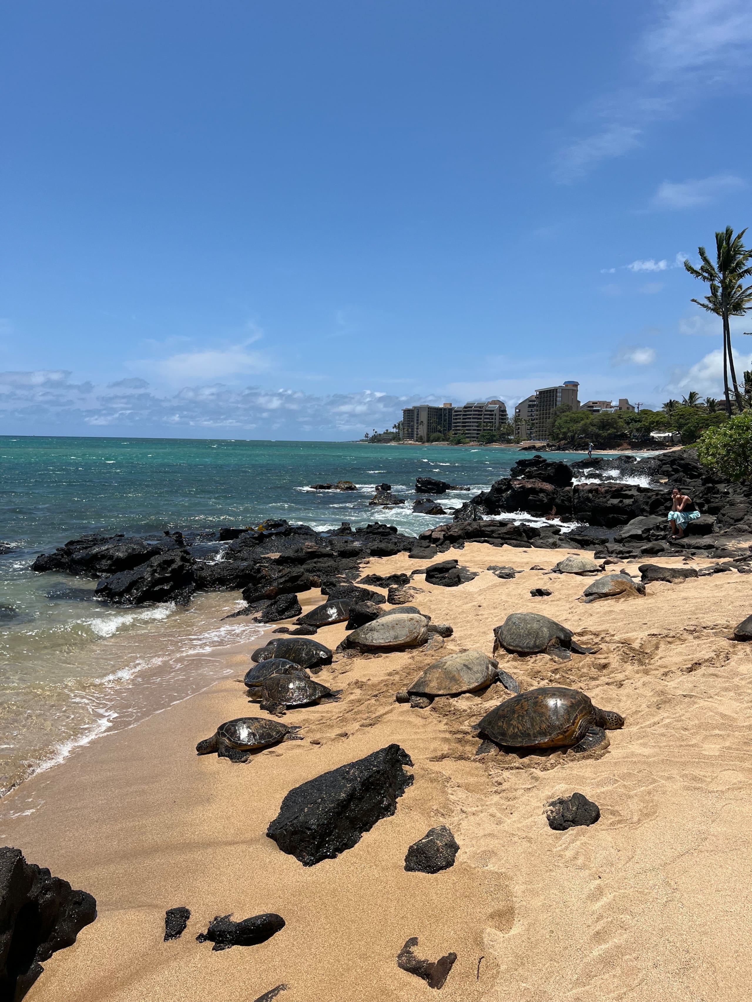 Peaceful Maui Bungalow | Ka Hale Aloha-Love Shack - Image 45