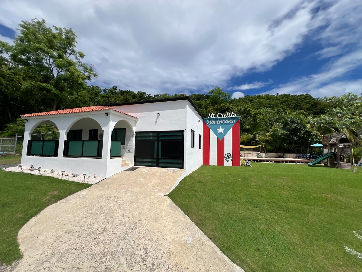 A single-story house is presented with a white exterior and a terracotta roof, complemented by a lush green lawn. A mural featuring the Puerto Rican flag adorns one side, while the surrounding landscape includes trees and outdoor play equipment.