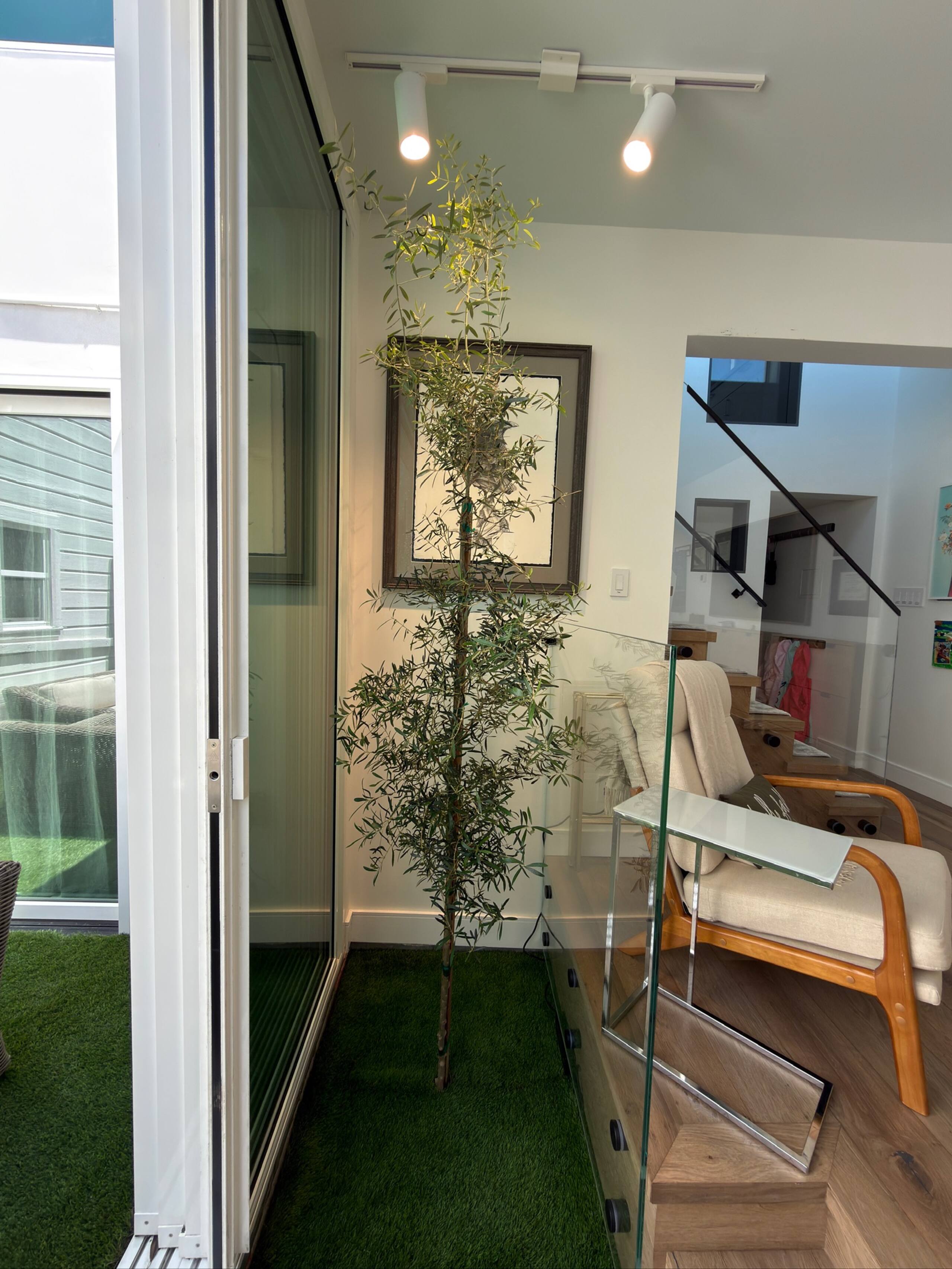 Home in San Francisco · ★4.94 · 4 bedrooms · 5 beds · 3 baths - Image 25