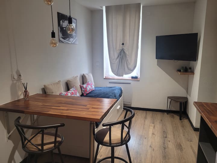 Studio Proche Centre Ville - Albi