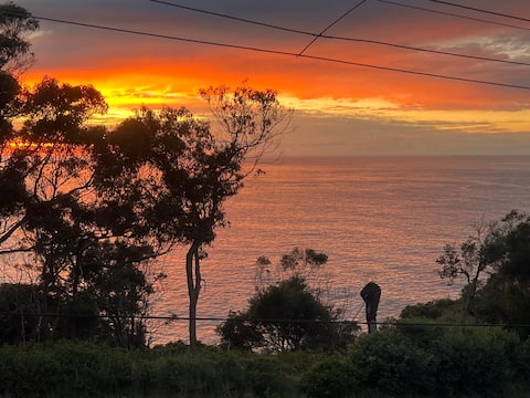 Top performing Airbnb: Buy 2 nights, get 2 free - Luxury, Ocean Views in Avoca Beach