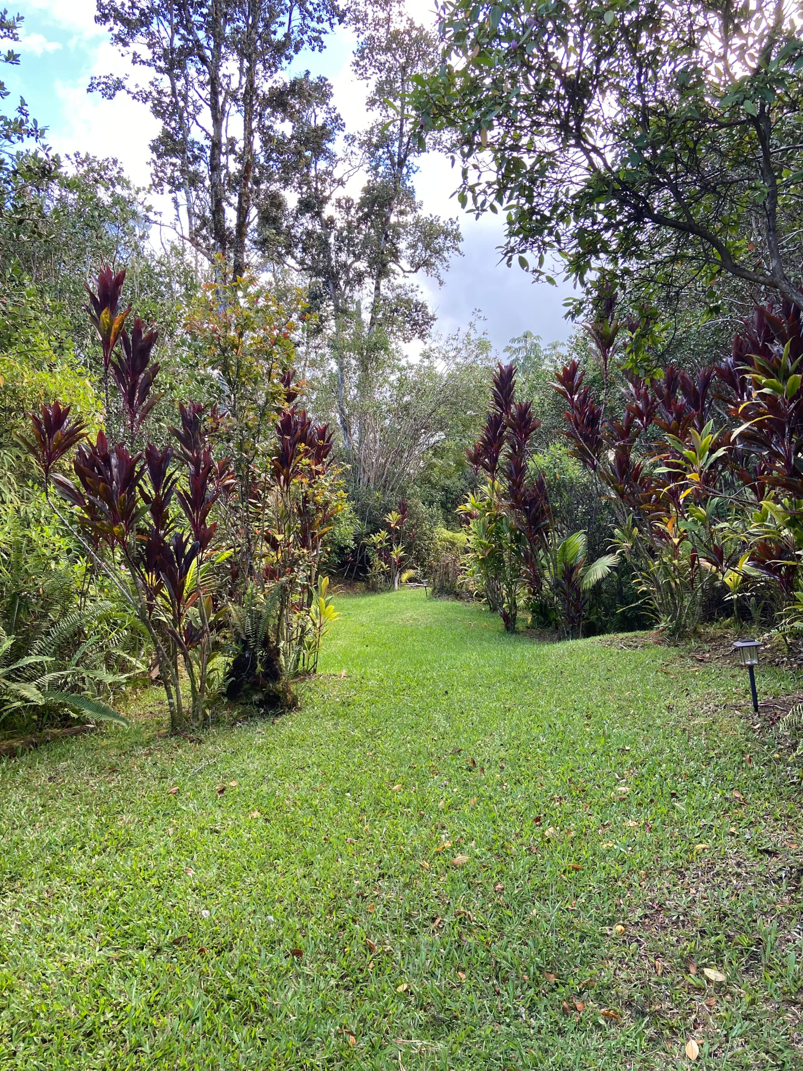 A Tropical Garden Suite - Photo 13