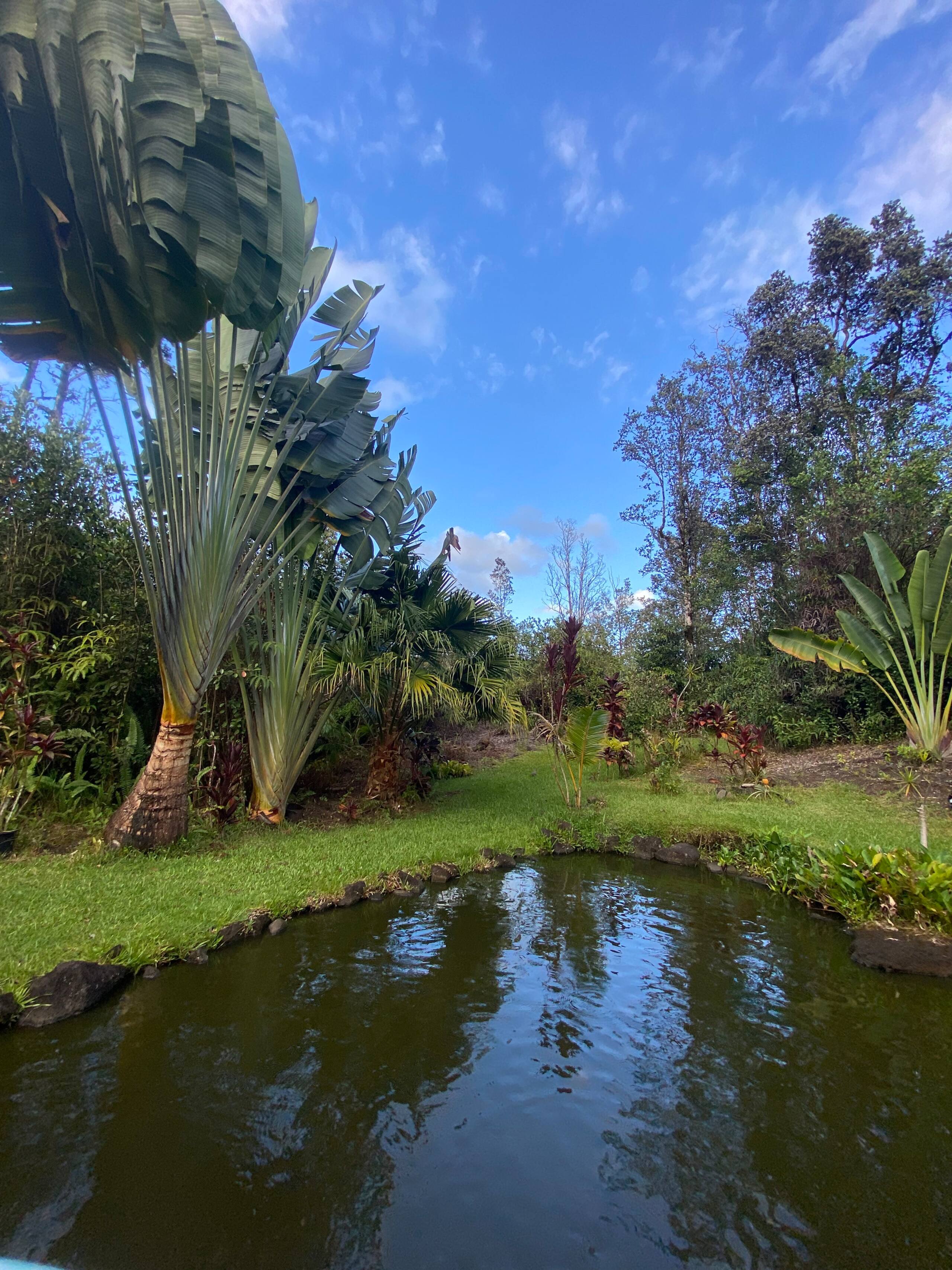 A Tropical Garden Suite - Photo 16