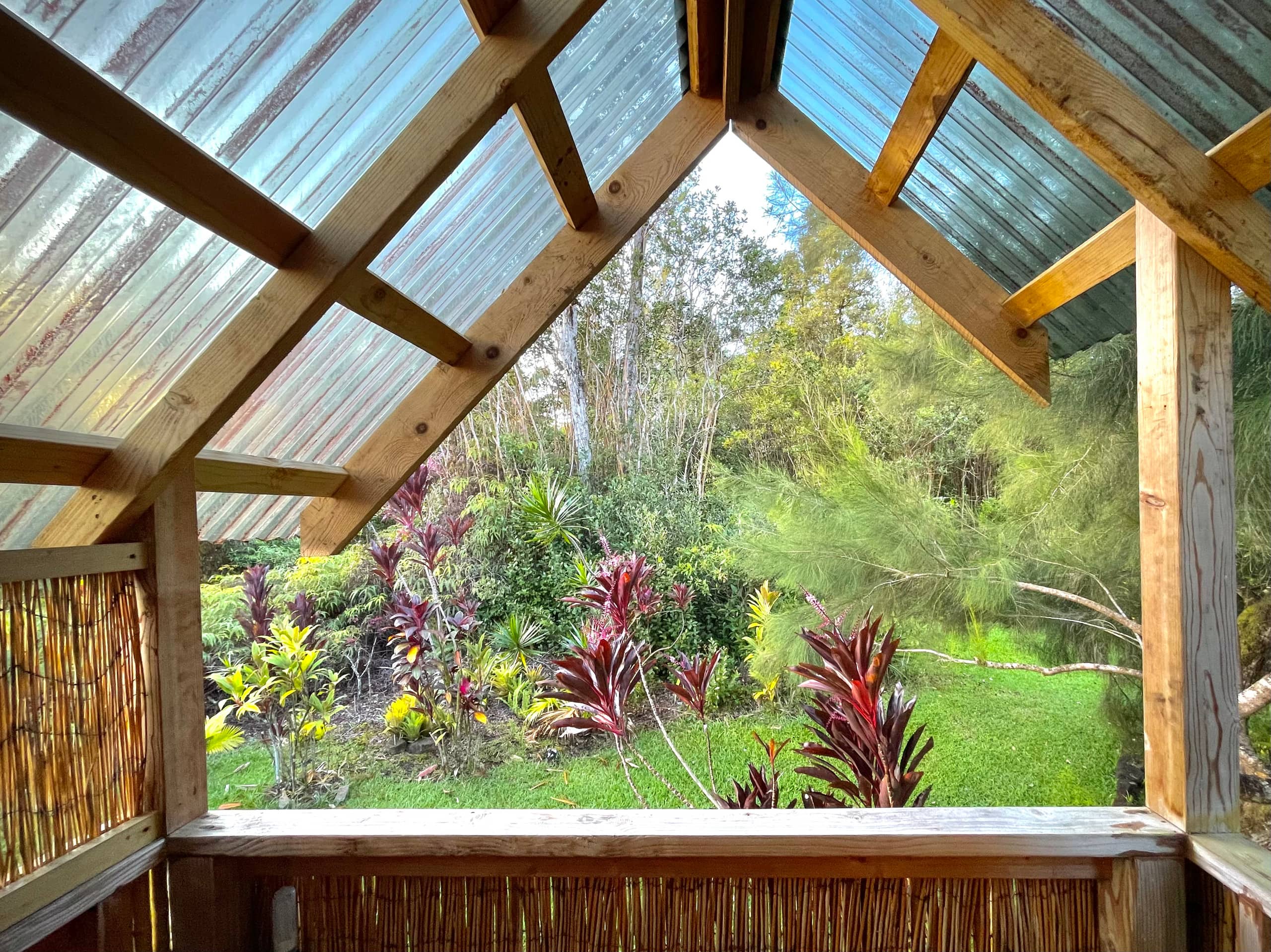 A Tropical Garden Suite - Photo 23
