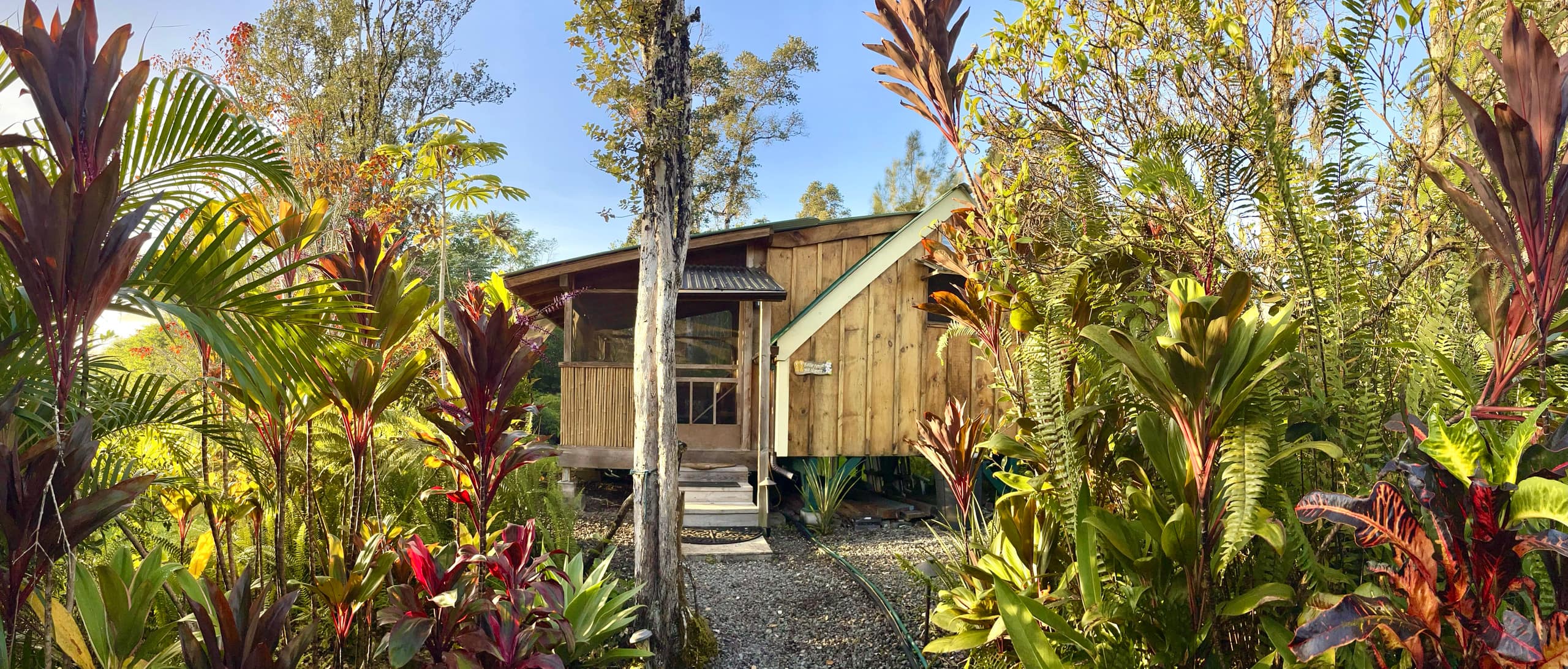 A Tropical Garden Suite - Main photo