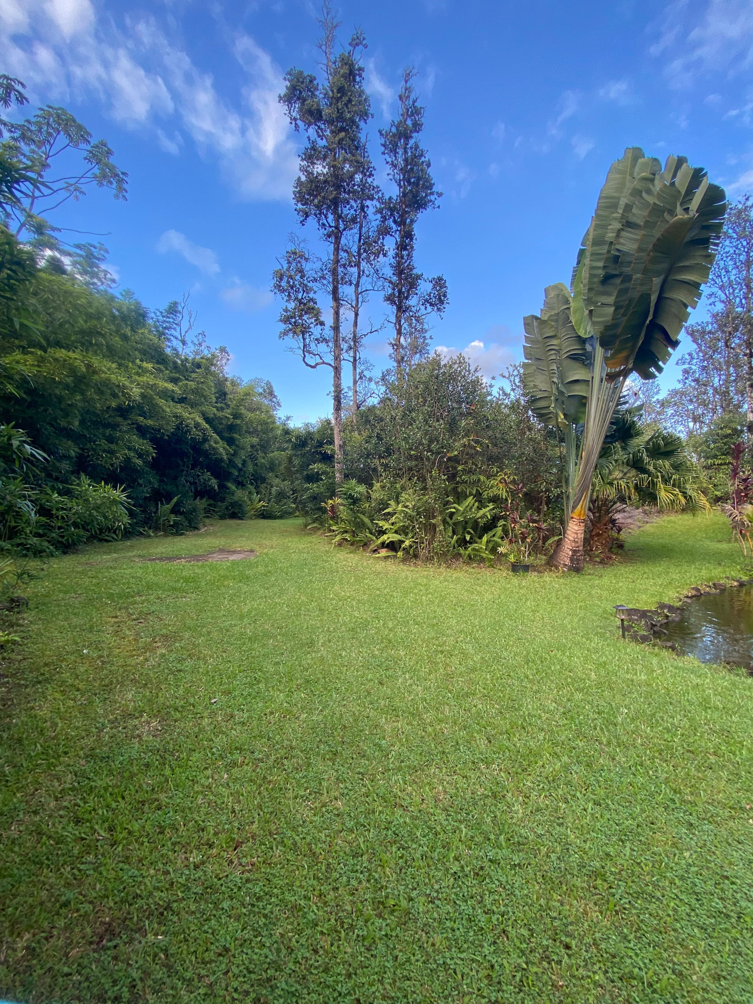 A Tropical Garden Suite - Photo 15