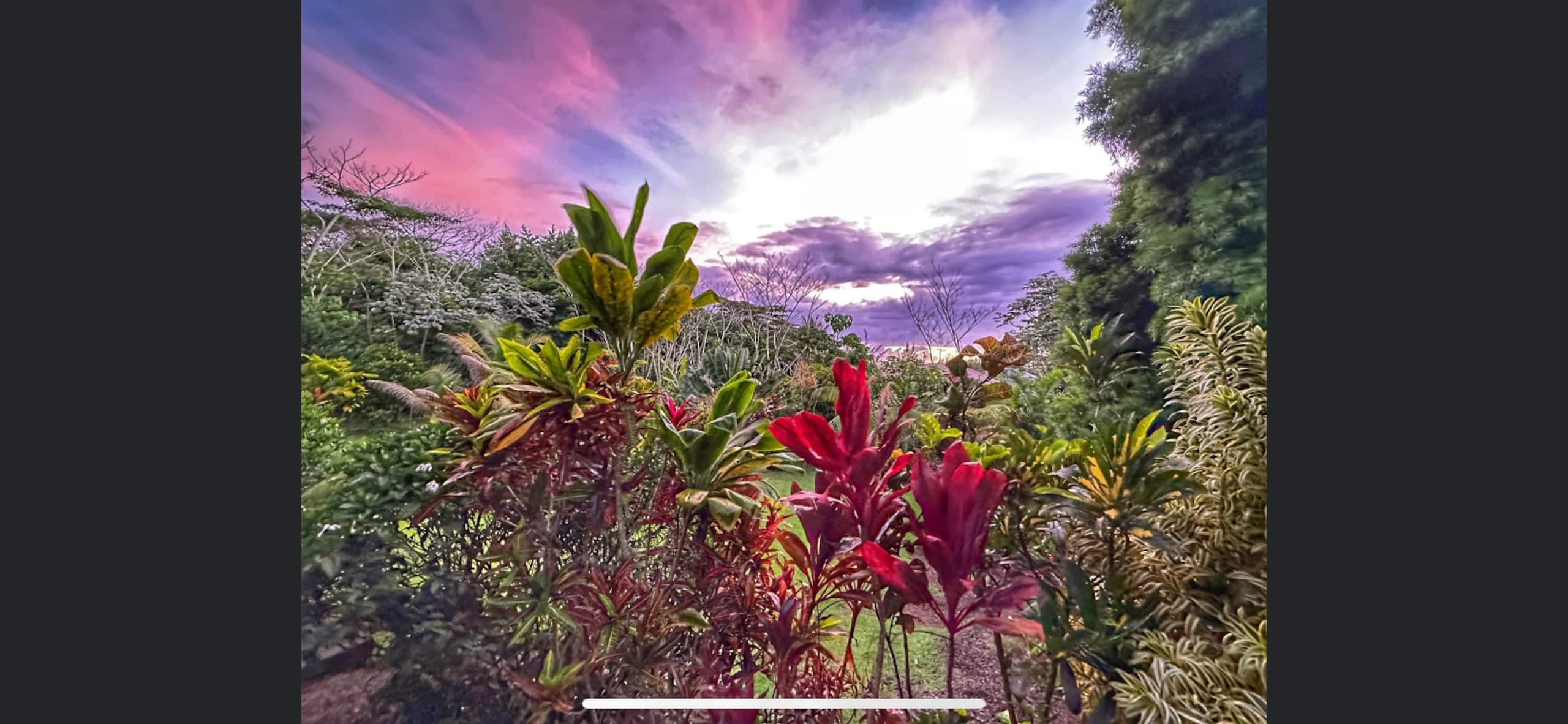 A Tropical Garden Suite - Photo 14