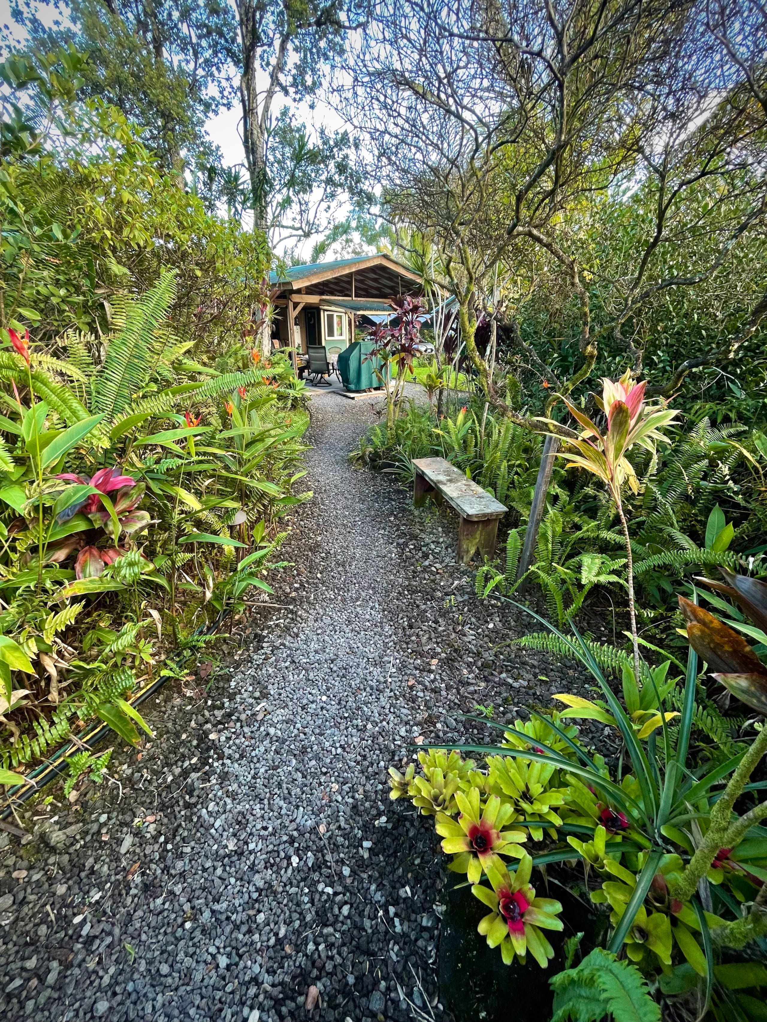A Tropical Garden Suite - Photo 12