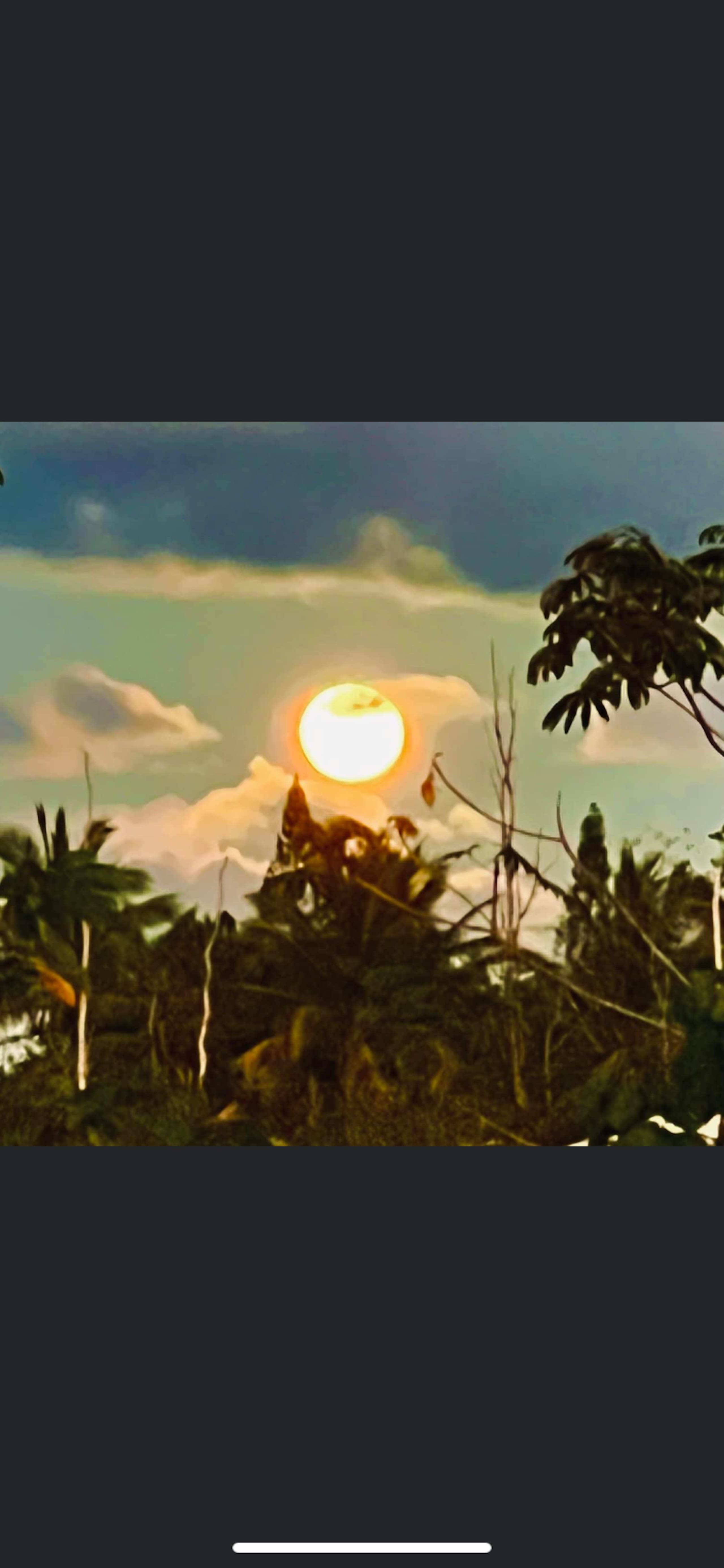 A Tropical Garden Suite - Photo 30