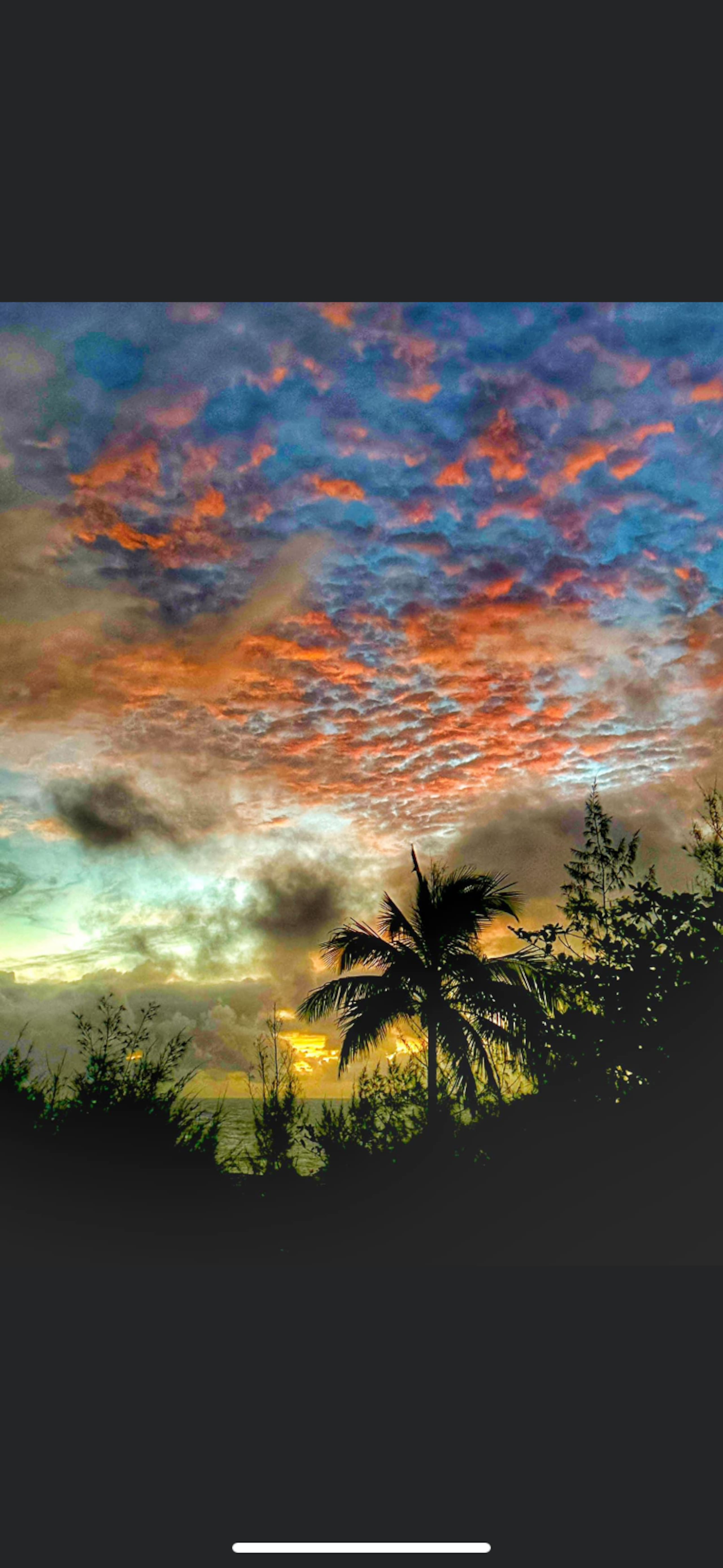 A Tropical Garden Suite - Photo 28