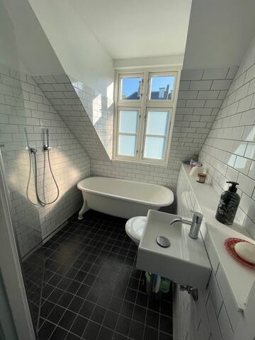 The Potato Rows – evocative and creative Home gallery image 5