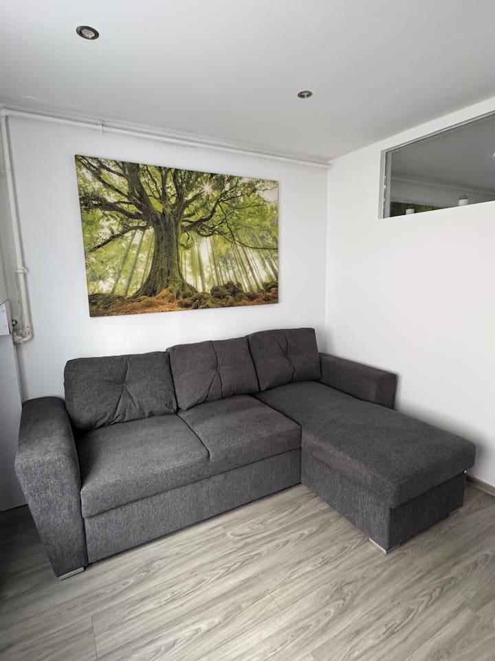 Hidden Apartment - Miercurea Ciuc
