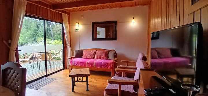 Cabaña En Las Afueras De Panguipulli - Panguipulli