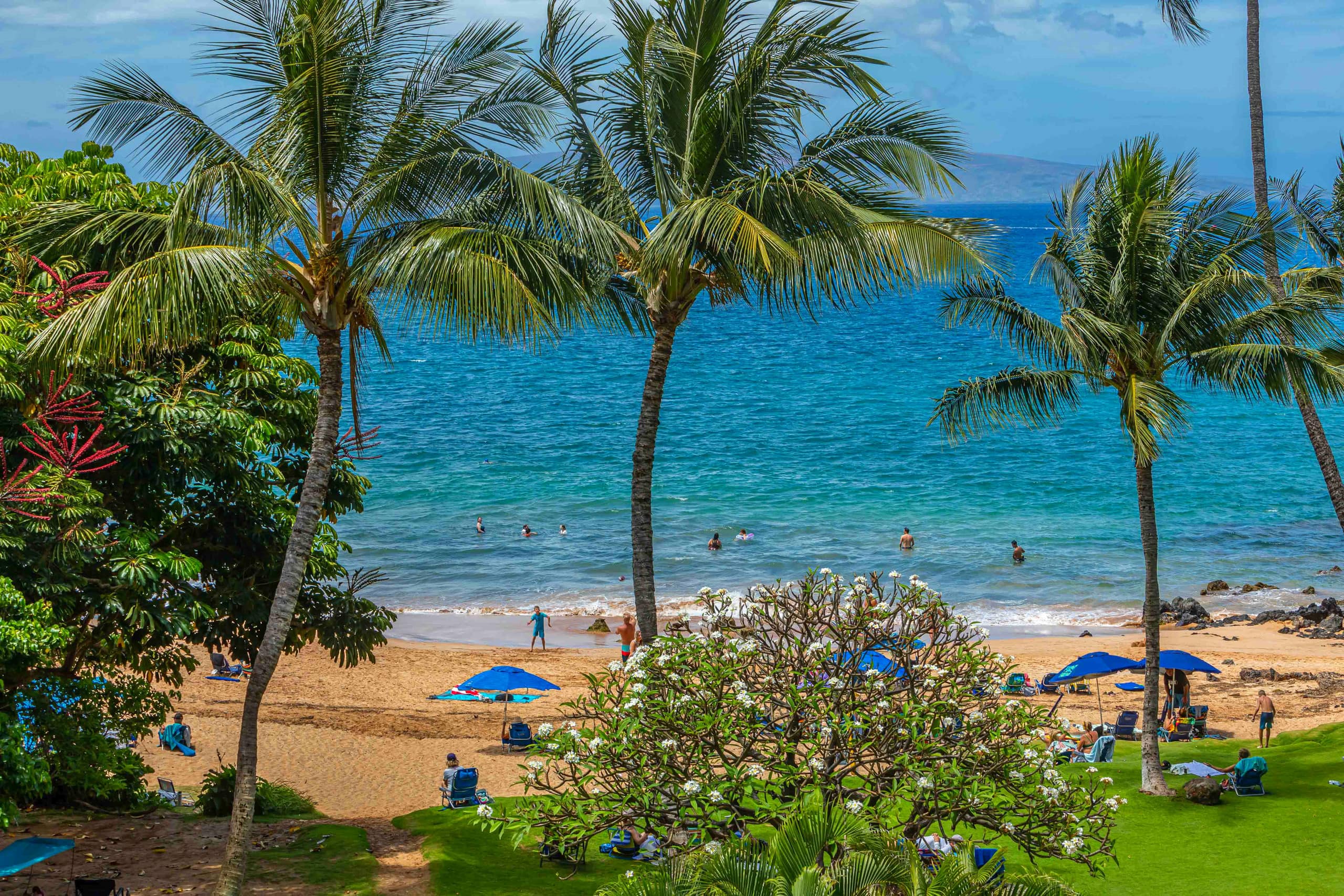 Condo in Kihei · ★4.93 · 1 bedroom · 2 beds · 1 bath - Image 17