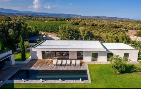 Exceptional house in vineyards 5 min to Bonifacio beach