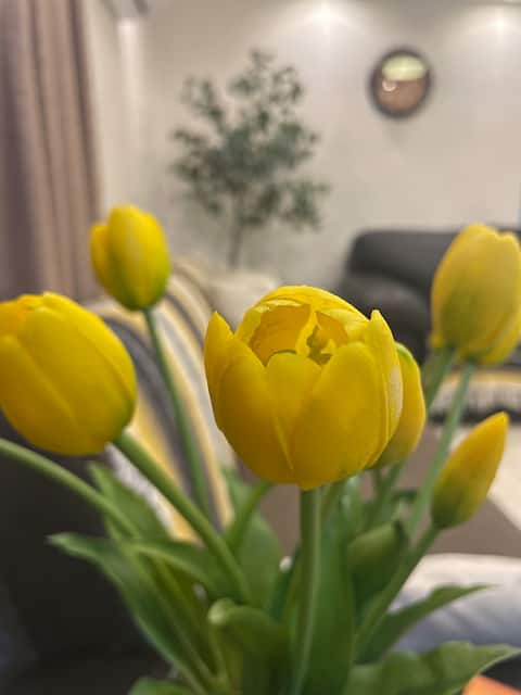 Warm home, ideal for long stays, with garage.