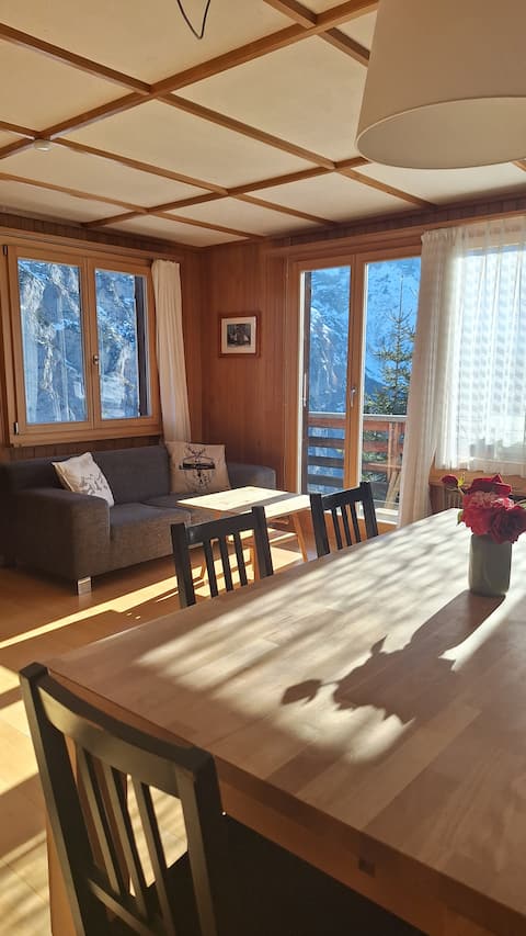 Top performing Airbnb: Chalet apartment "Schnell" (cozy and stunning view) in Lauterbrunnen