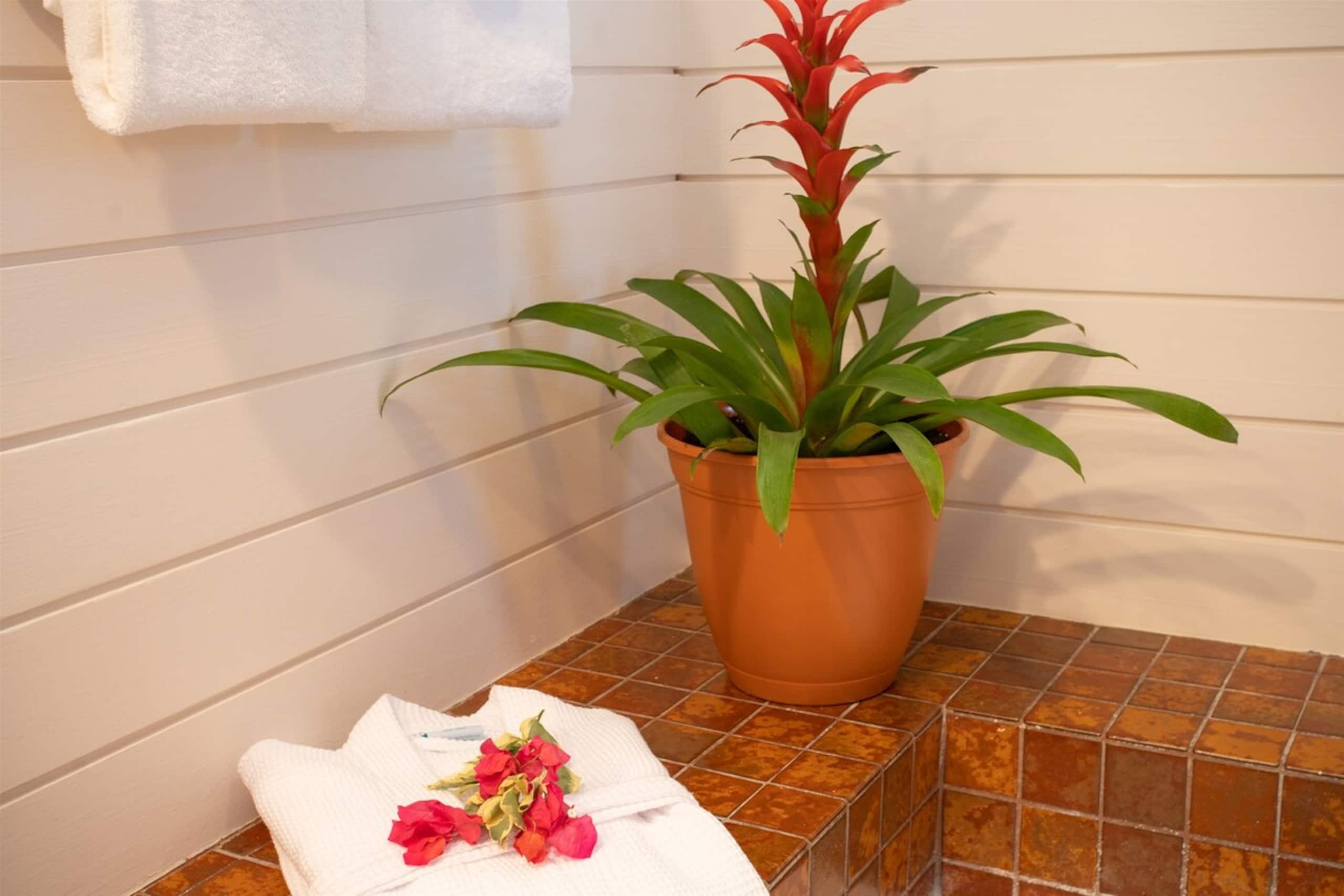 Villa in Lahaina · ★4.97 · 3 bedrooms · 7 beds · 3 baths - Image 48